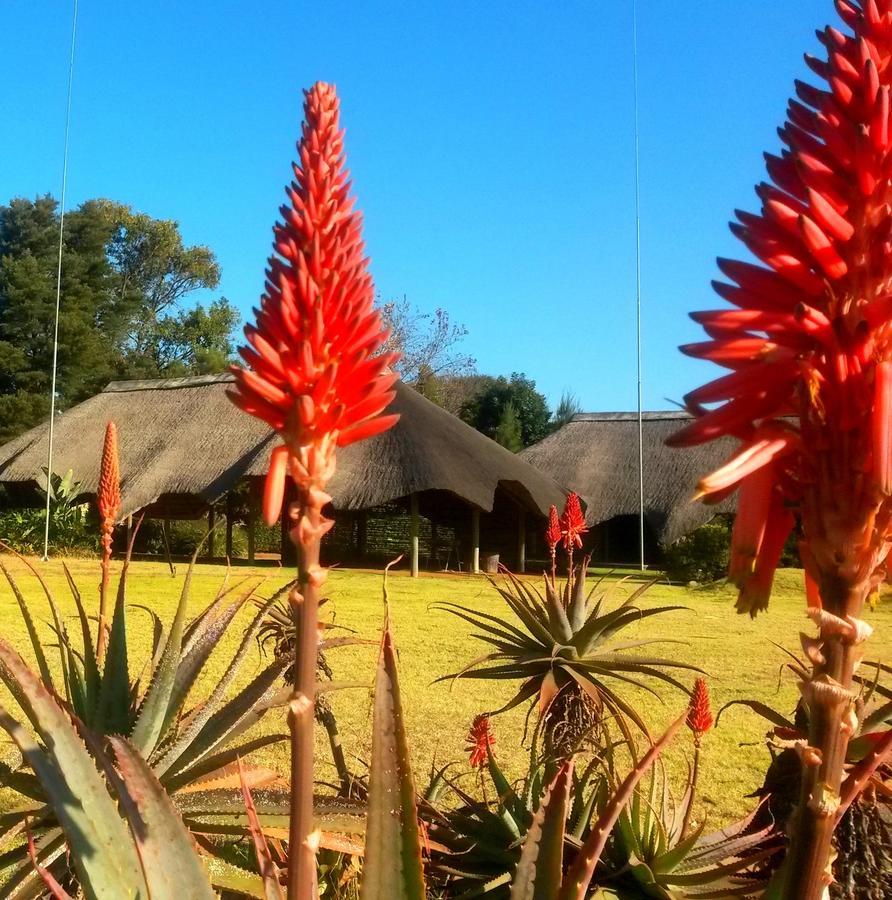 African Flair Country Lodge Piet Retief Exterior photo