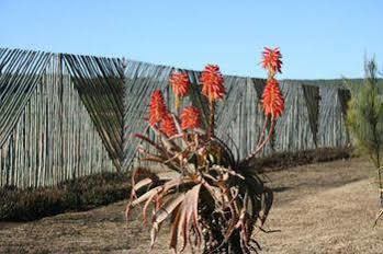 African Flair Country Lodge Piet Retief Exterior photo