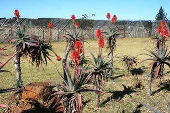 African Flair Country Lodge Piet Retief Exterior photo