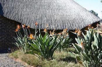 African Flair Country Lodge Piet Retief Exterior photo